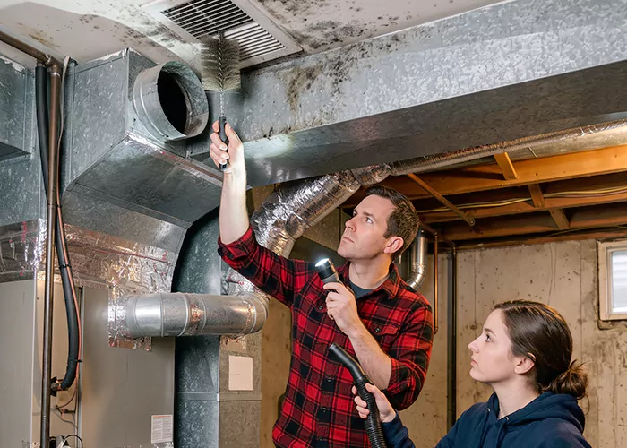 Premier HVAC Mold Remediation Company in West New York